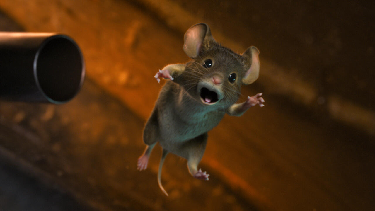 Mission: Mäusejagd – Chaos unterm Weihnachtsbaum