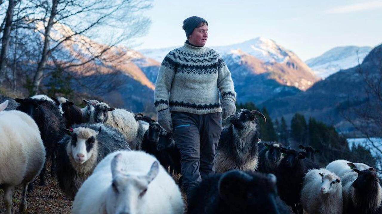 Woolly – Schaf dir das Glück