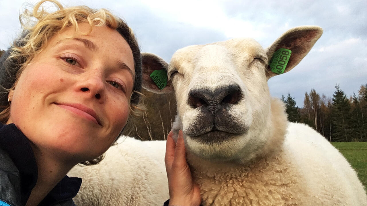 Woolly – Schaf dir das Glück