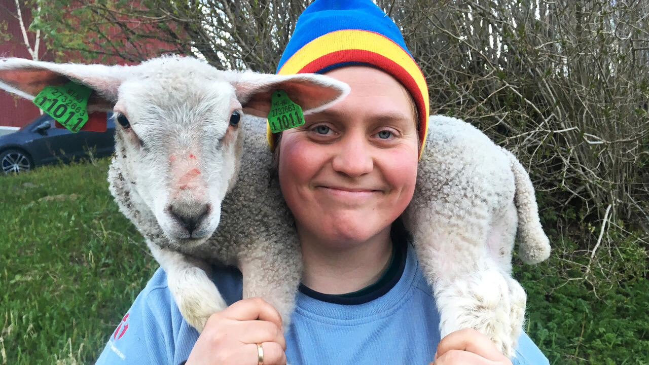 Woolly – Schaf dir das Glück