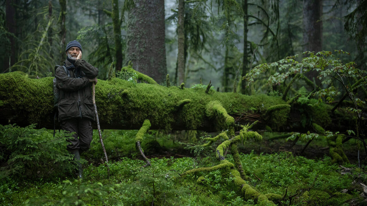 Le chant des forêts