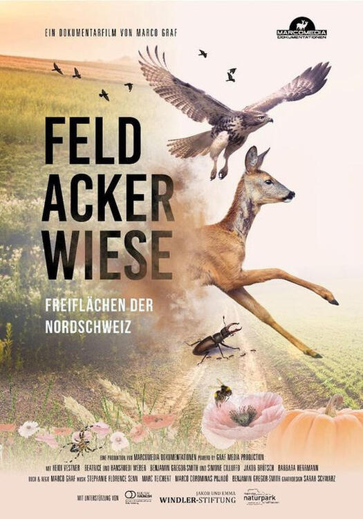 Cover Feld, Acker, Wiese