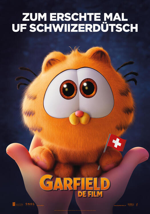 Cover Garfield – De Film