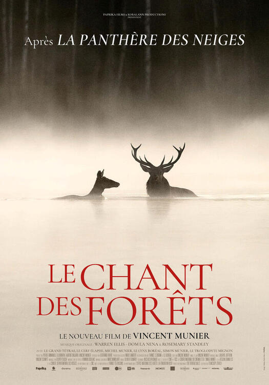 Le chant des forêts