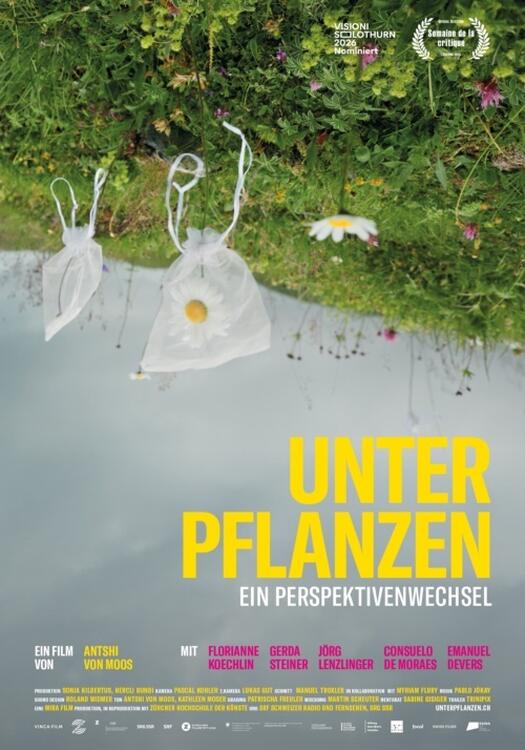 Cover Unter Pflanzen