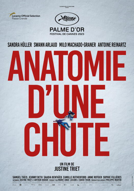 Cover ANATOMIE D'UNE CHUTE