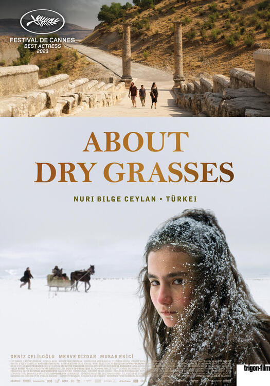 Cover ABOUT DRY GRASSES