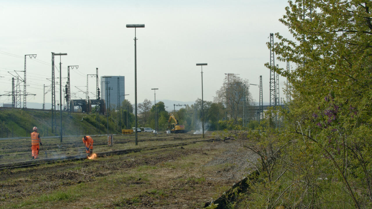 Bahnhof der Schmetterlinge