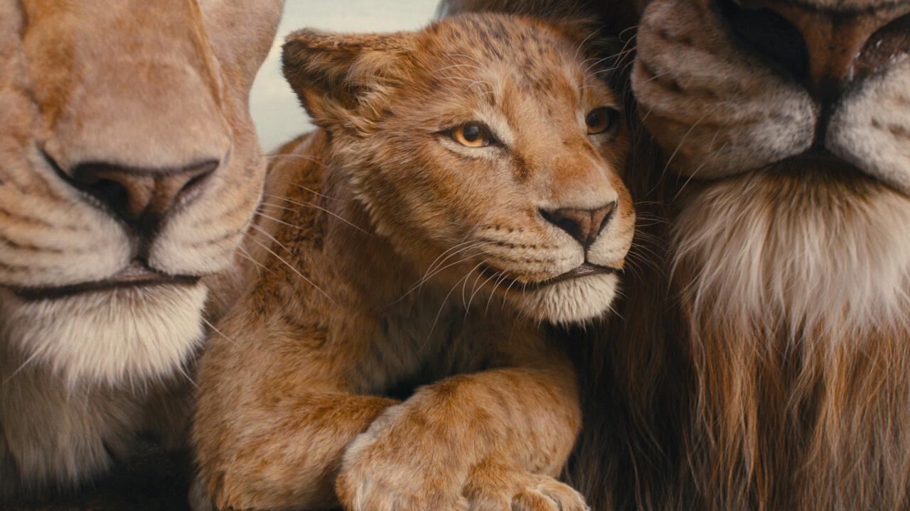 Mufasa: The Lion King (Edf)