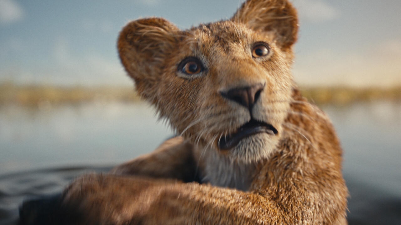 Mufasa: The Lion King (Edf)