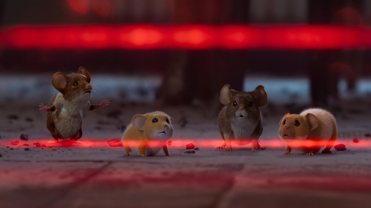 Mission: Mäusejagd - Chaos unterm Weihnachtsbaum