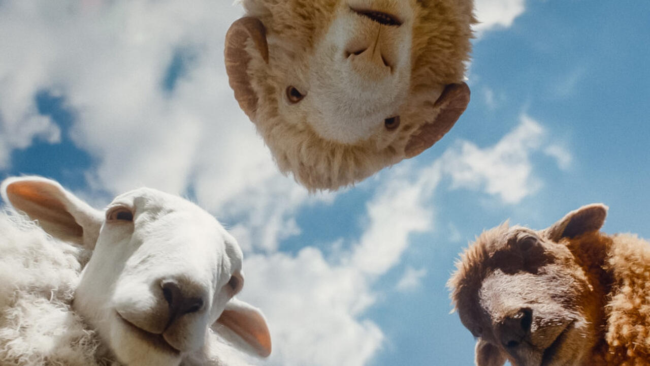 The Sheep Detectives (E/df)