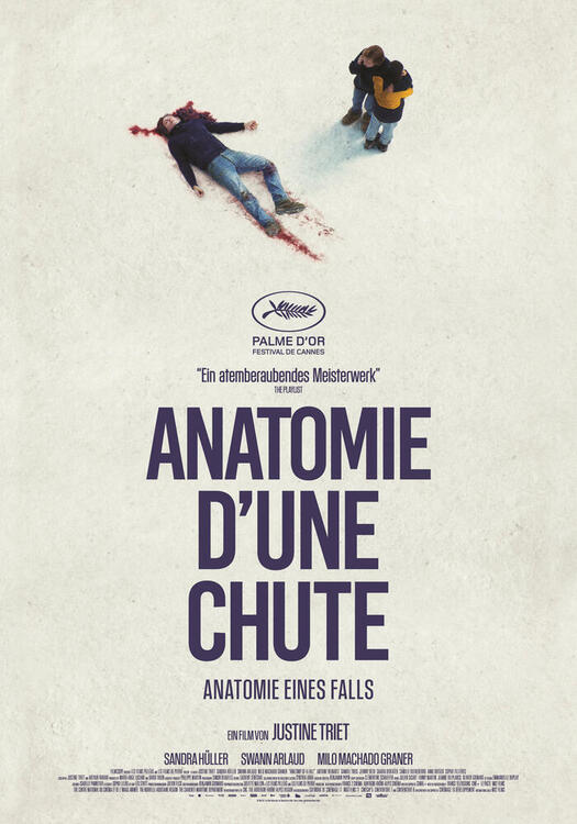Cover Anatomie d'une chute