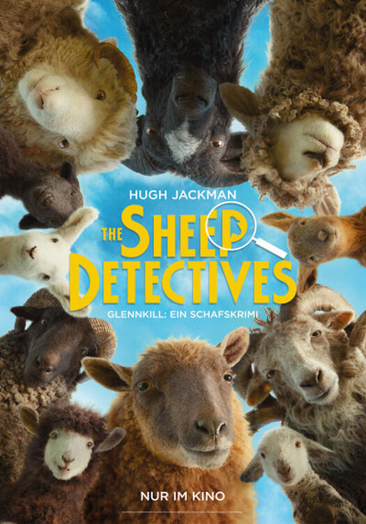 Cover The Sheep Detectives