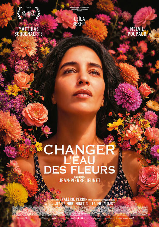 Cover Violette