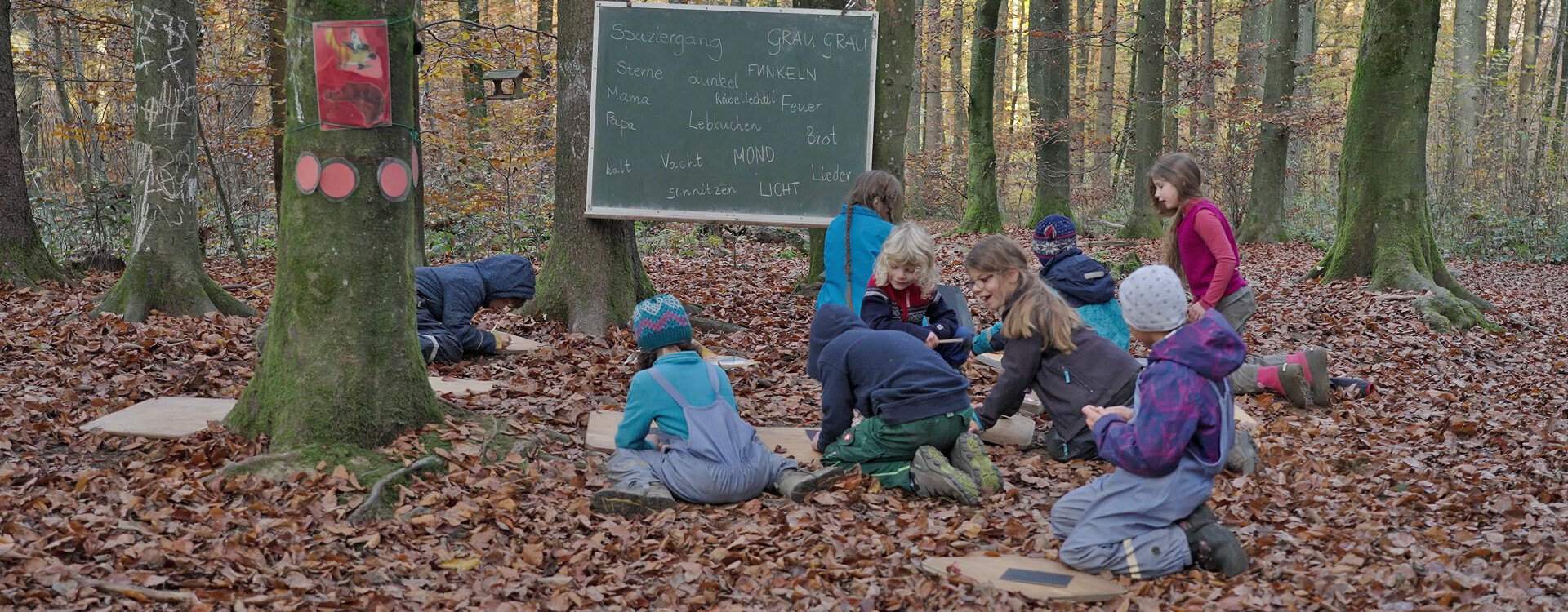 Von Kindern und Bäumen – Ein Jahr in der Waldschule