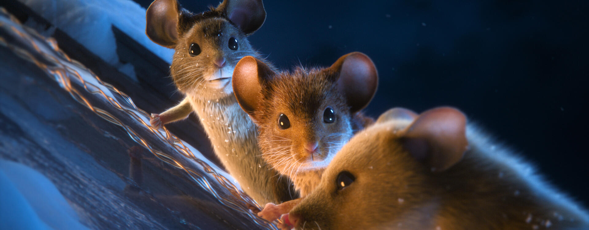 Mission: Mäusejagd - Chaos unterm Weihnachtsbaum