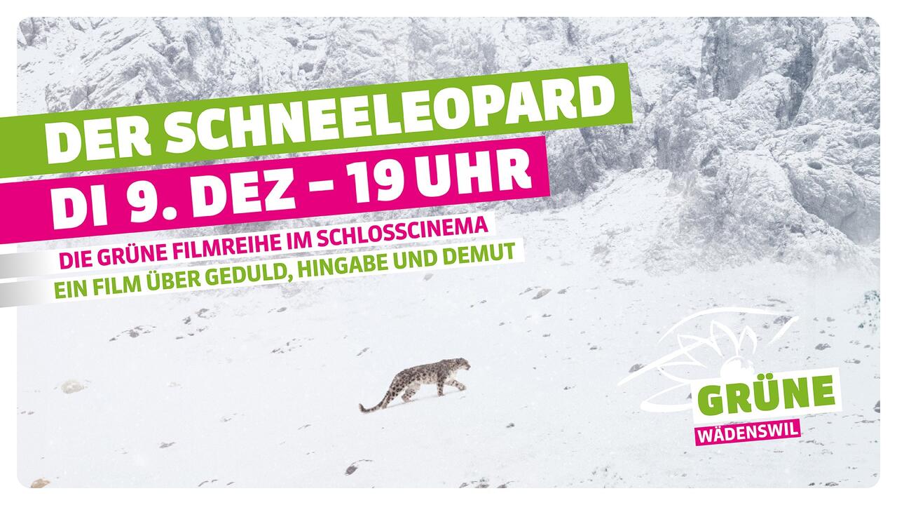 La Panthère des Neiges (Schneeleopard)