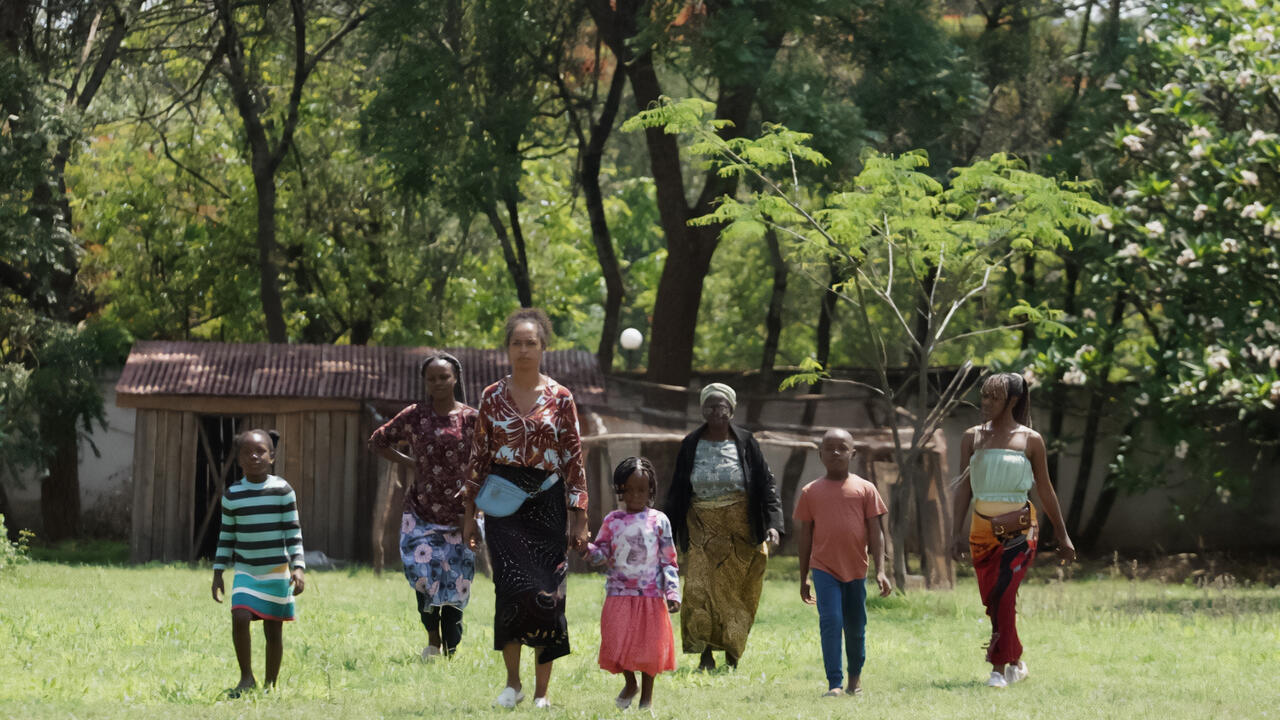 On Becoming a Guinea Fowl