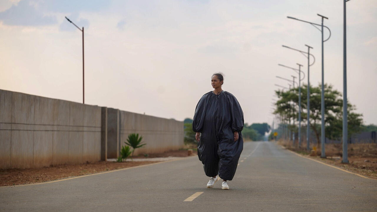 On Becoming a Guinea Fowl