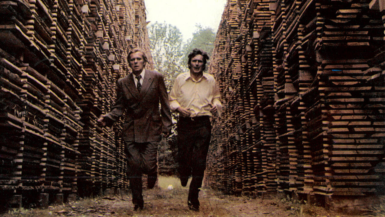 Sommersprossen (Gratis)