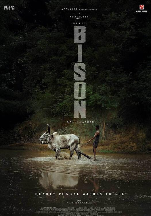 Cover Bison: Kaalamaadan