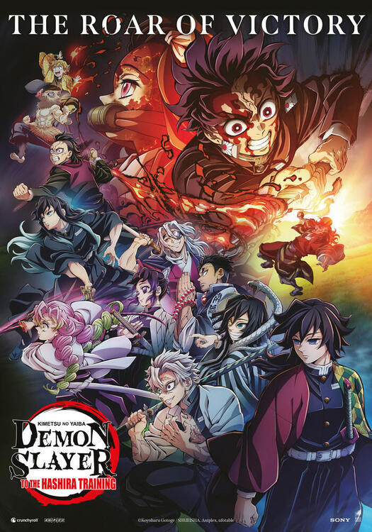 Cover Demon Slayer: Kimetsu no Yaiba - Zum Training der Säulen