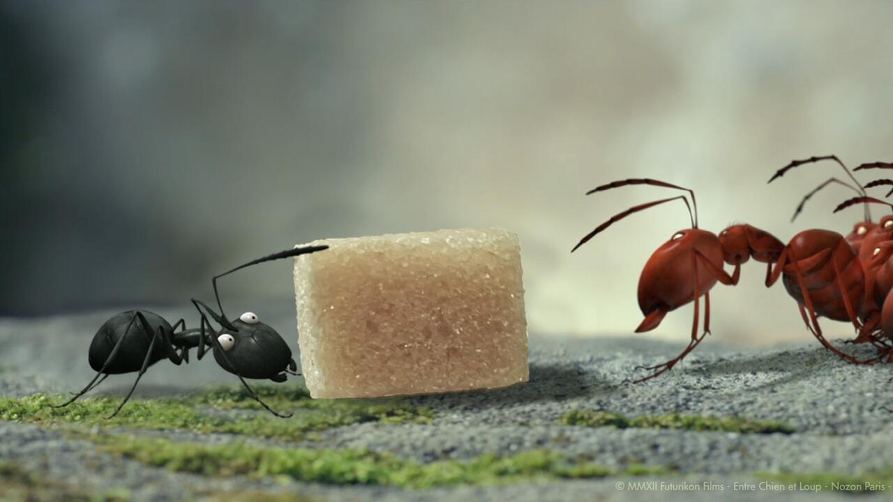 Zauberlaterne: Die Winzlinge - Operation Zuckerdose