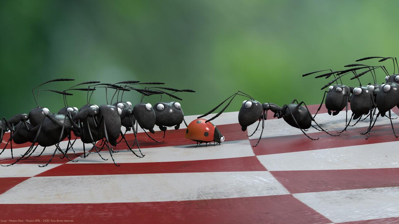 Zauberlaterne: Die Winzlinge - Operation Zuckerdose