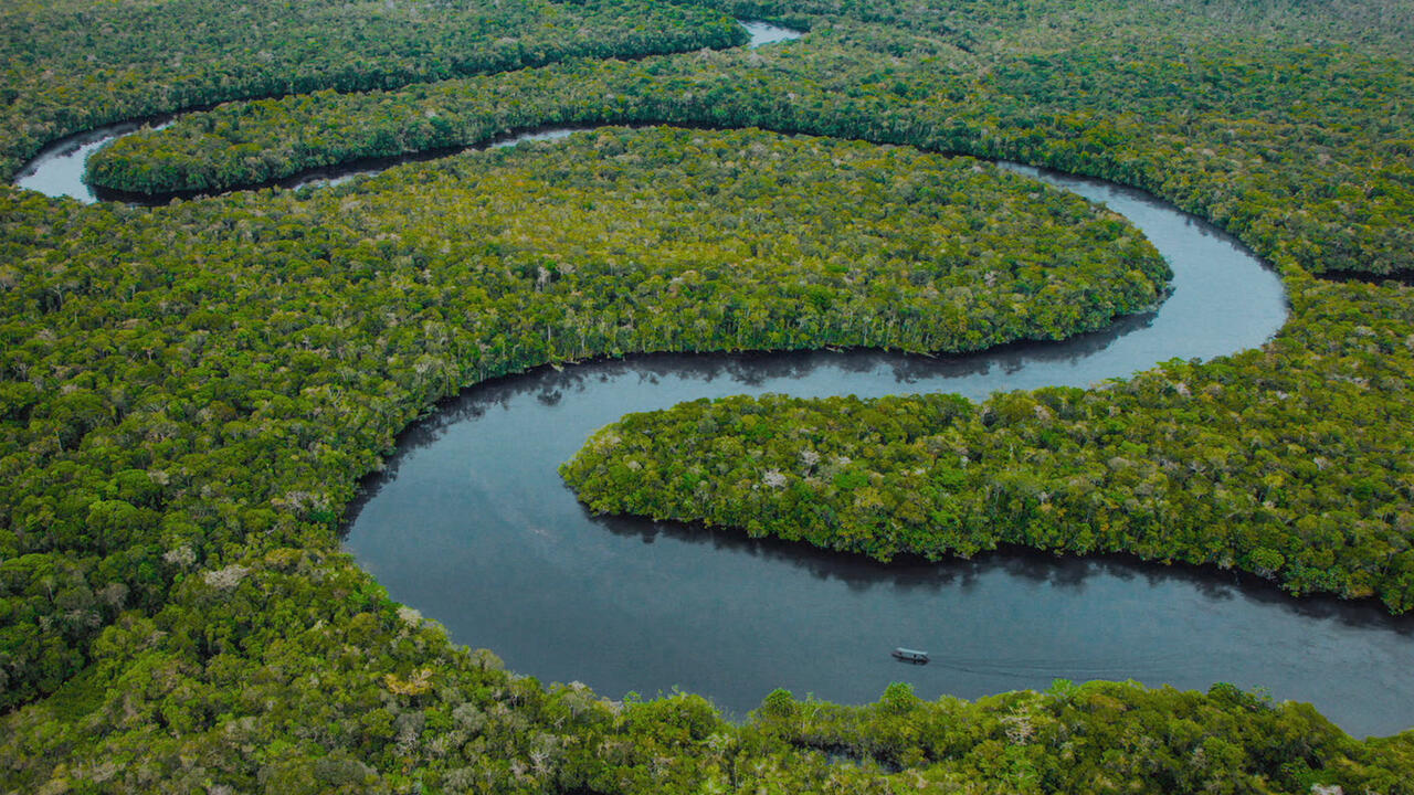 Tereza - O Último Azul