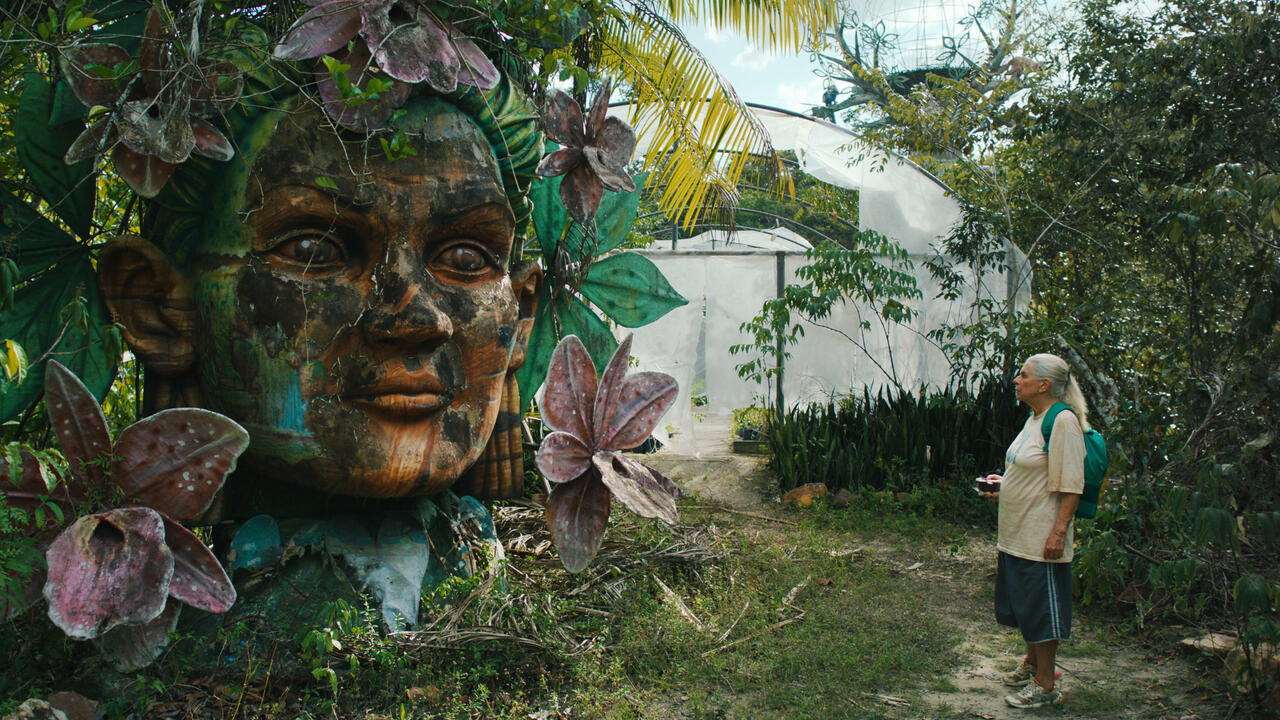 Tereza - O Último Azul