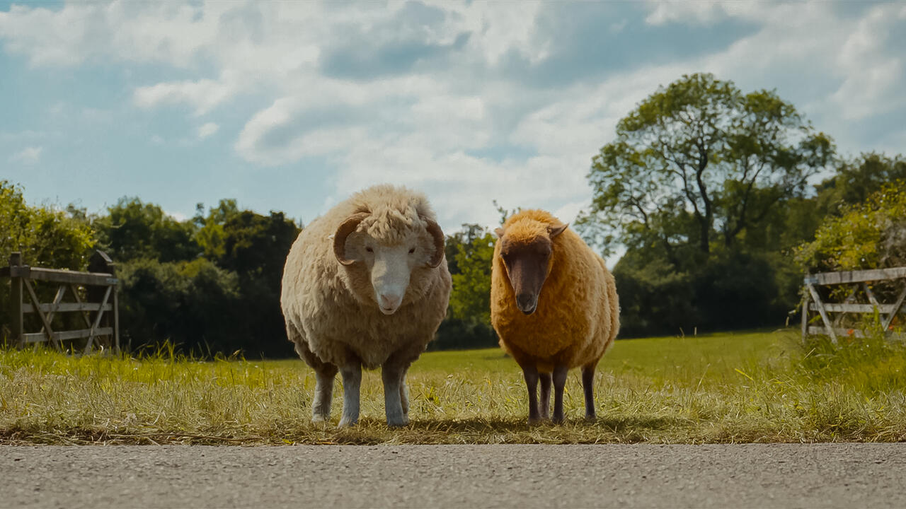 The Sheep Detectives - Glennkill: Ein Schafskrimi