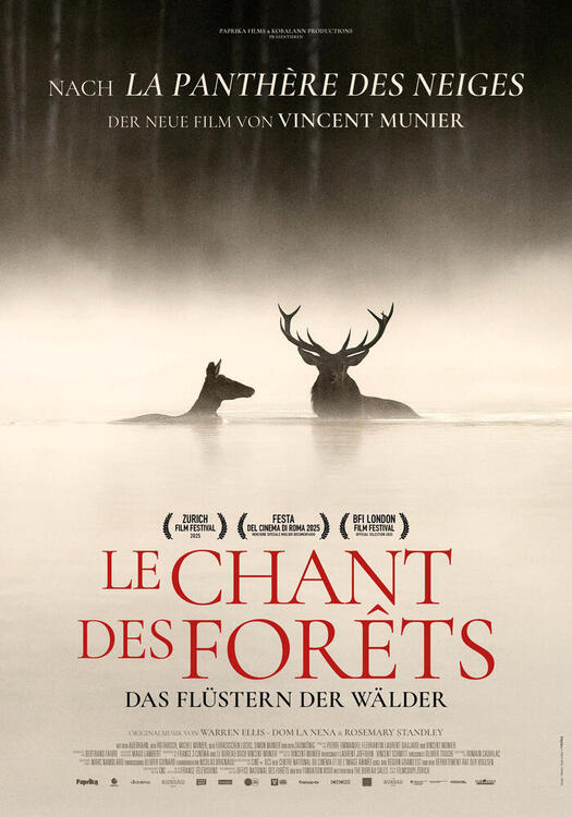 Cover Le chant des forêts