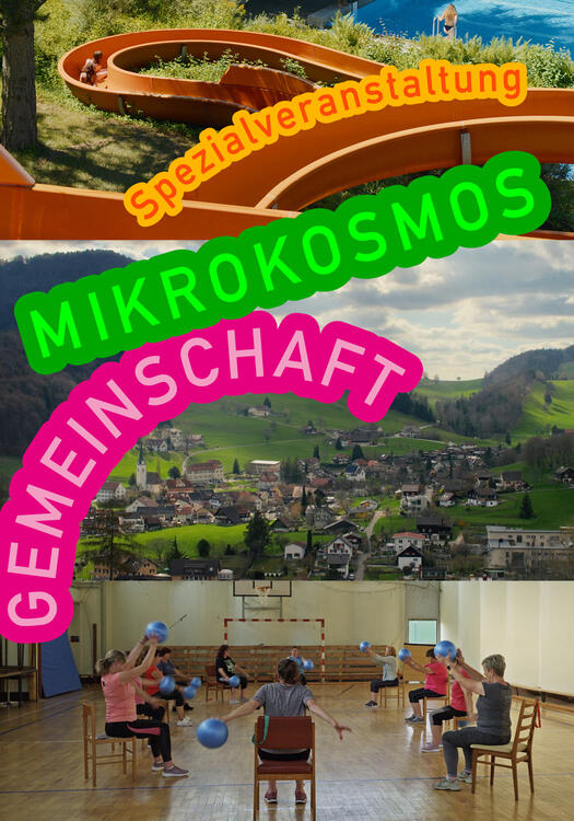 Cover Mikrokosmos Gesellschaft (KFP)