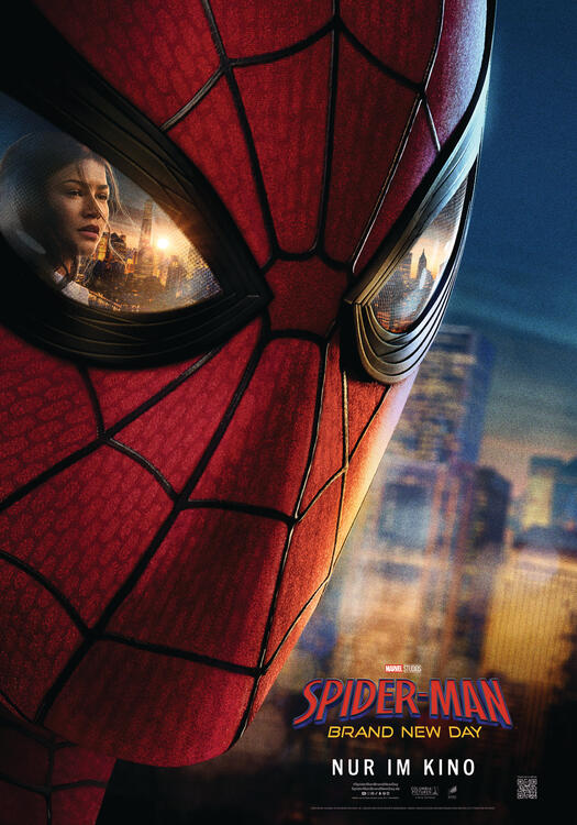 Cover Spider-Man: Brand New Day