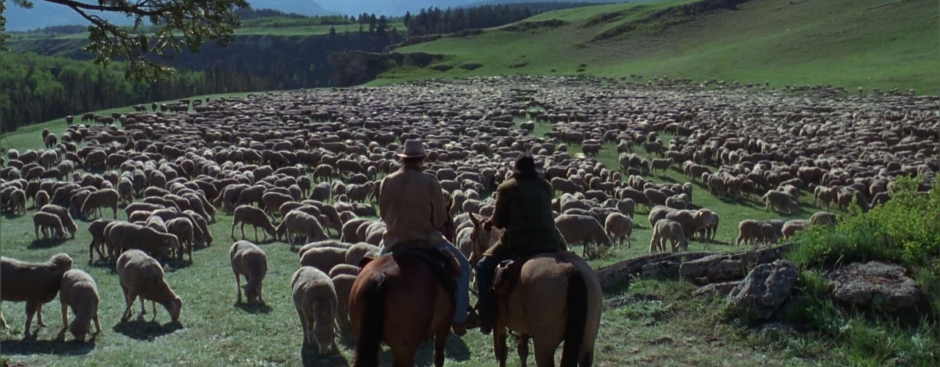 Brokeback Mountain