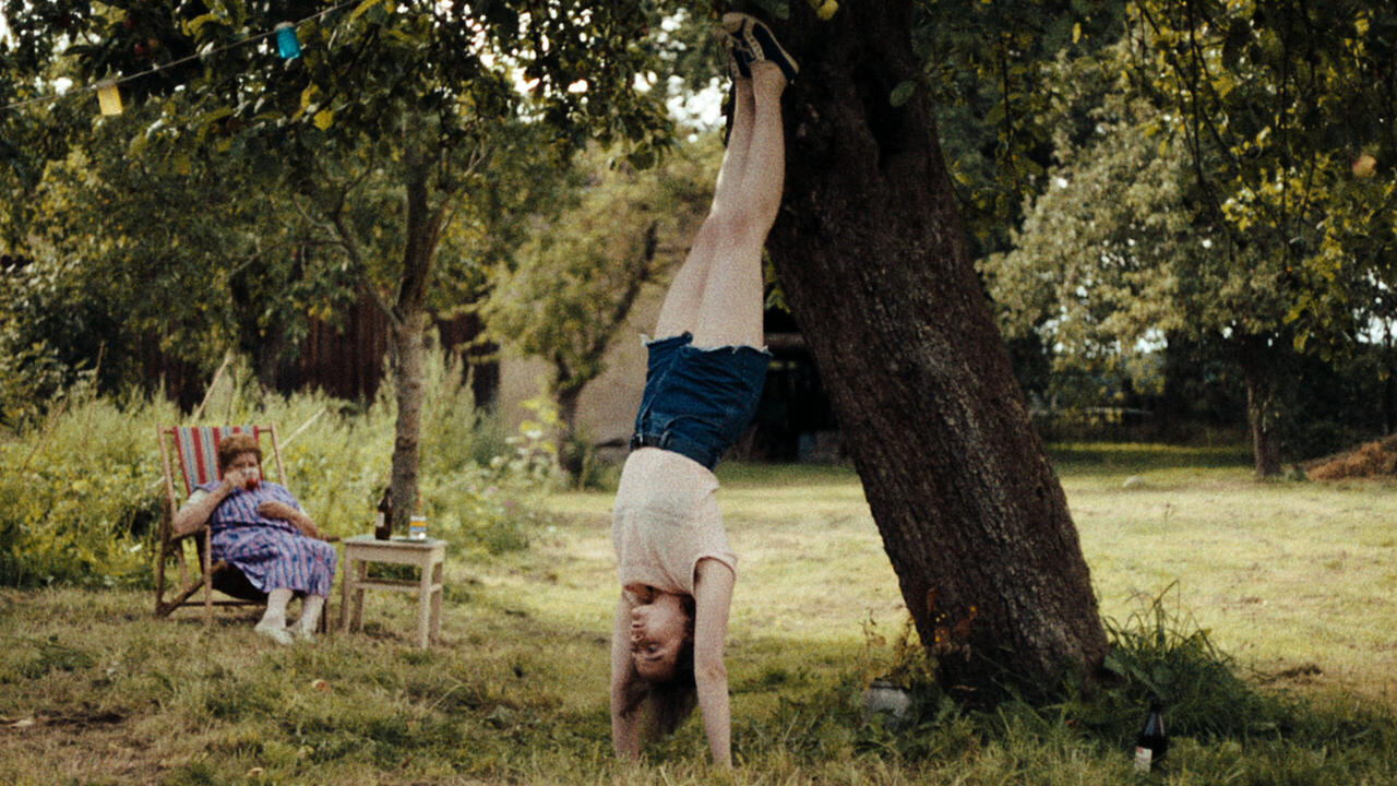 In die Sonne schauen