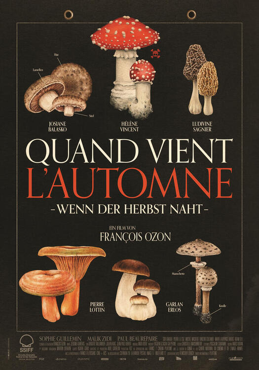 Cover Quand vient l'automne